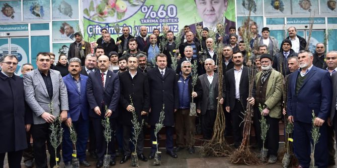 Kahramanmaraş’ta Çiftçiye Fidan Desteği
