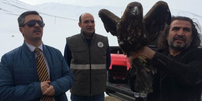 Van’da Tedavileri Tamamlanan 2 Kaya Kartalı Doğaya Salındı