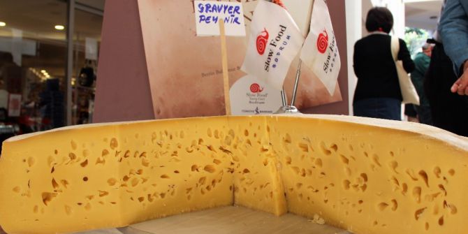 111 Çeşit Peynir Bodrum’da Tanıtıldı