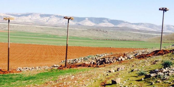 Leylekler Yeni Yuvalarında Güvende