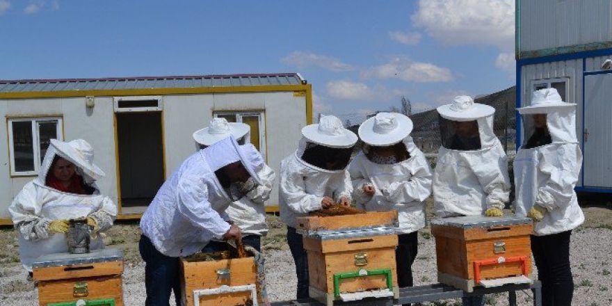 Dü Arıcılık Programı Uygulamalı Eğitimiyle Fark Oluşturuyor