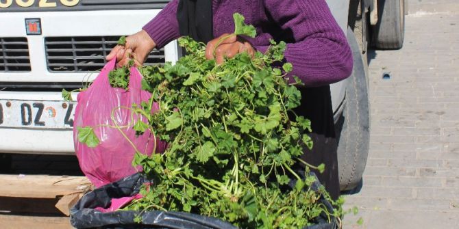 Kış Aylarında Tüketilen Otlara İlgi