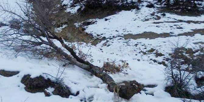 Dağdan Kopan Dev Kaya Parçası Faciaya Neden Oluyordu