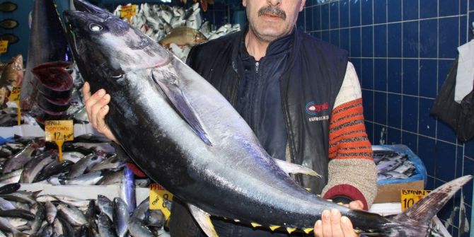 Tezgahlarda Orkinos Bereketi