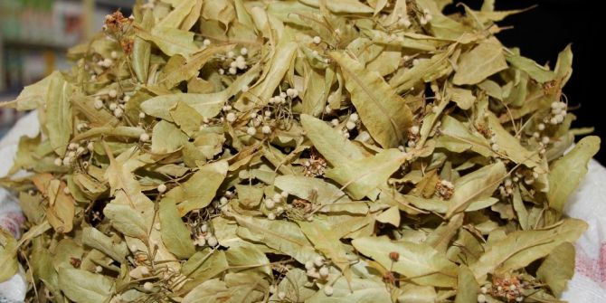 Kış Bitti, Ihlamur Satışları Düştü