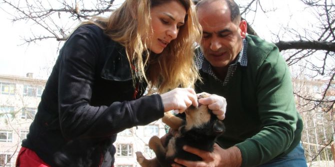 Aşılama Ekibi Sokaklarda