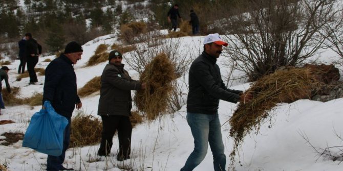 Gümüşhane’de Dünya Yaban Hayatı Günü Kutlandı