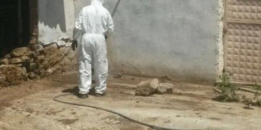 Sarıgöl’de İlaçlama Çalışmaları Devam Ediyor