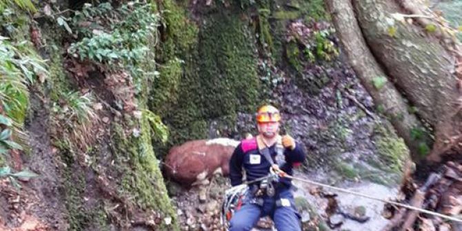 İtfaiyeden İnek Kurtarma Operasyonu