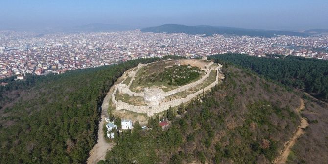 Baharın Müjdeleyicisi İstanbulensis Çiçeği Açtı