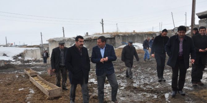 Milletvekili Beyribey Ve İl Başkanı Çalkın Digor’da