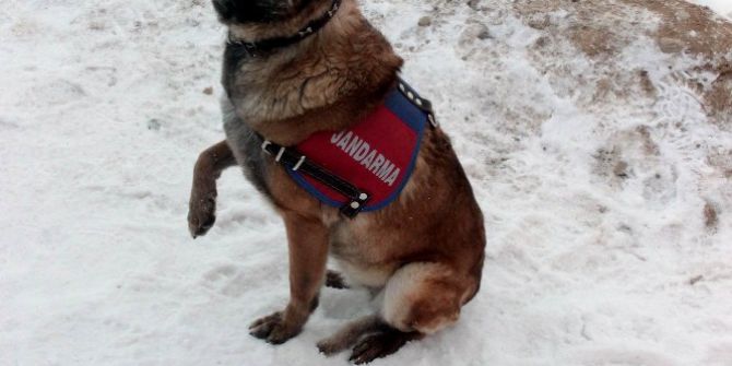 Göçük Altında Kalanların Umudu ’Ferda’