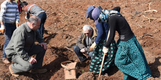 Başören’e 320 Bin Fidan Dikilecek