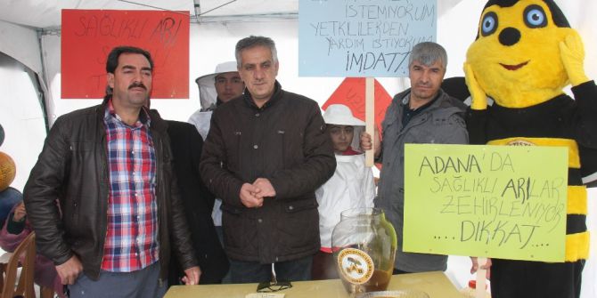 Bingöl’de Arı Ölümlerine Dikkat Çekildi