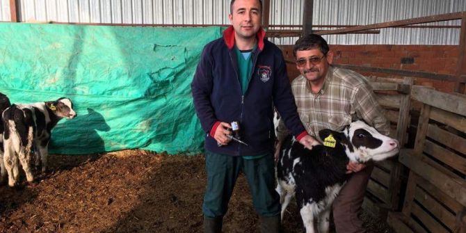 İlkbahar Şap Aşılamaları Devam Ediyor