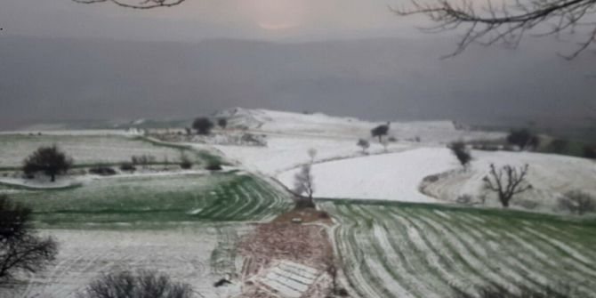 Dolu Tarlaları Beyaza Bürüdü