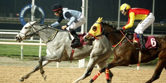 Tsyd Koşusu’nu "Kırdere" Kazandı