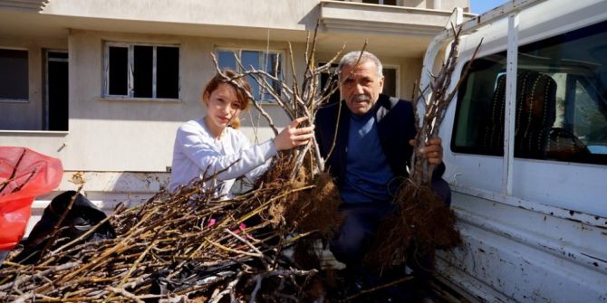 Üzüme Alternatif Siyah İncir