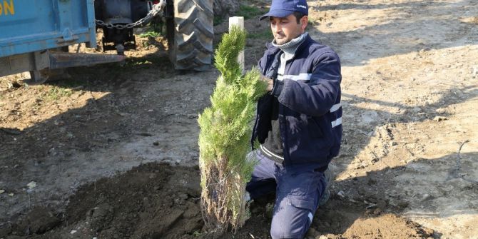 Turgutlu’da Fidanlar Toprakla Buluştu