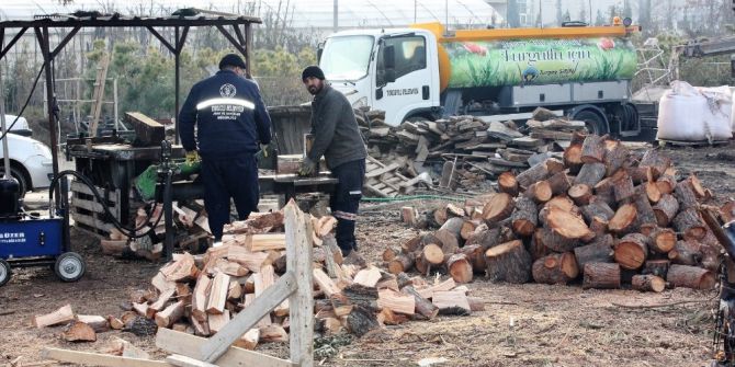 Ağaç Dalları Yüzlerce Aileyi Isıttı