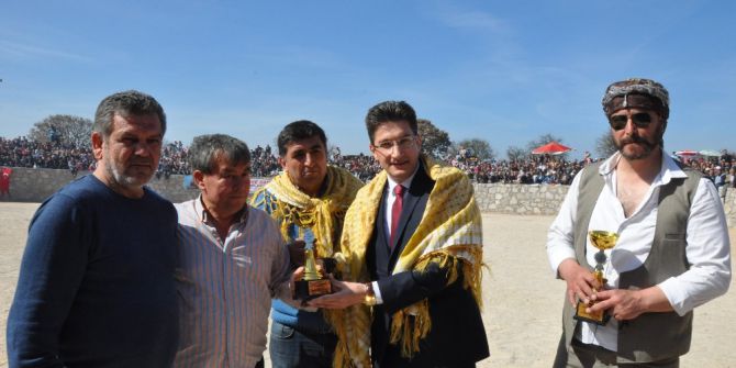 Ayvacık’ta Develer Depremzedelere Moral İçin Güreştirildi