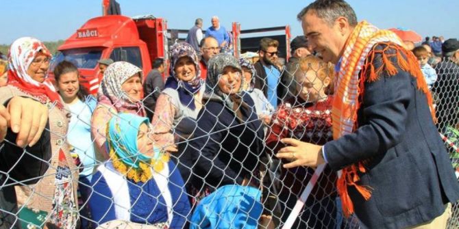 Ayvalık’ta Deve Güreşleri Bahar Havasında Gerçekleşti