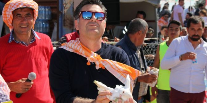 Bodrum’da Deve Güreşi Festivali