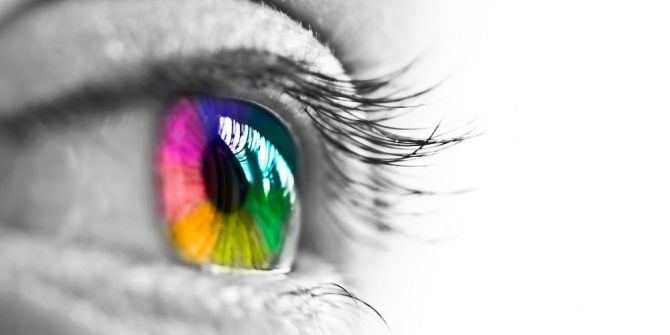 Gece Körlüğünden Sarı Nokta Hastalığına