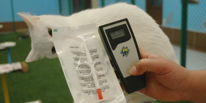 Van Kedilerine Çipli Takip Sistemi