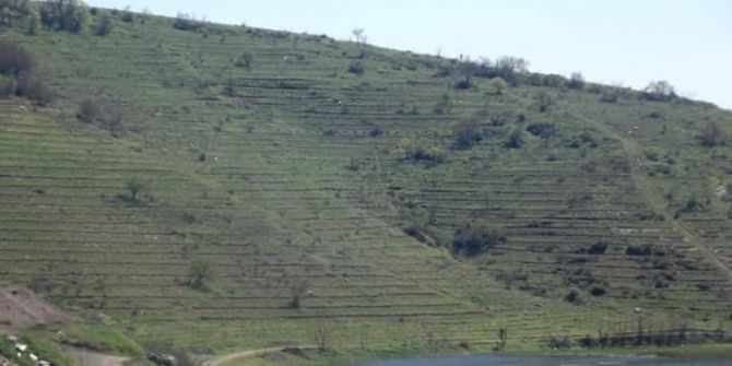 Baraj Havzaları Yeşillendi