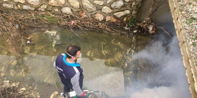 Sinekle Mücadele Çalışmaları Hızlandı