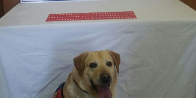 Jandarma 92 Adet Captagon İsimli Uyuşturucu Hap Ele Geçirdi