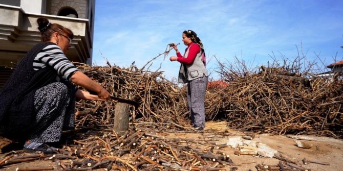 Bağ Çubukları Yakacak Olarak Değerlendiriliyor