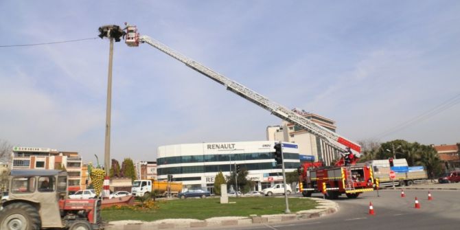 Baharın Müjdecileri İçin Tatlı Telaş