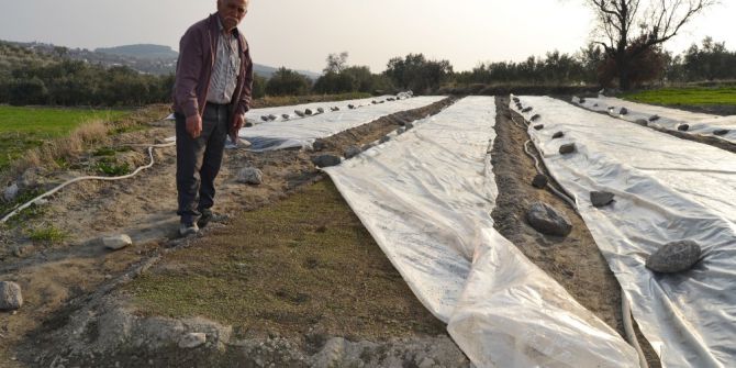 Tütüncülerin Yeni Sezon Telaşı Başladı