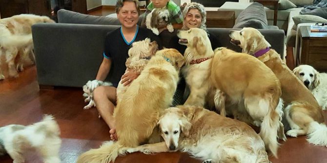 Paylaşılamayan "Golden Çetesi" İstanbul’a Gitti