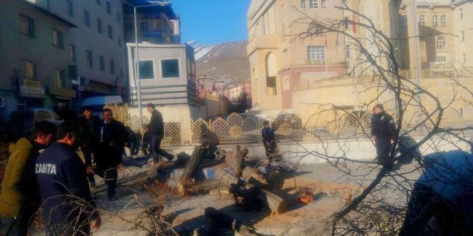 Valilik Bahçesindeki Kuru Ağaçlar Kesildi