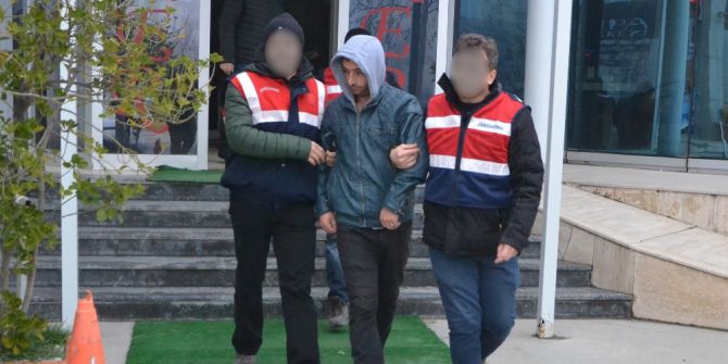 Silivri’de Evlere Bonzai Servisi
