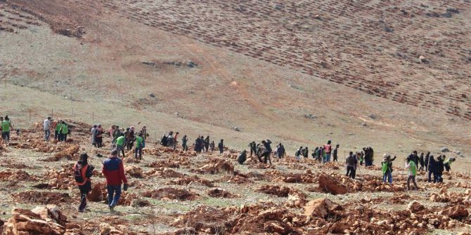 Yabancı Uyruklu Üniversite Öğrencileri Bin 250 Fidan Dikti