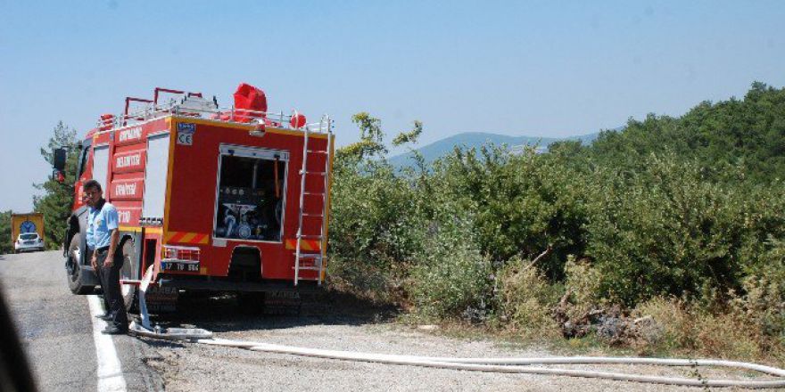 Bayramiç’te Orman Yangını