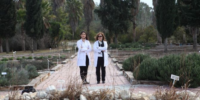 180 Tıbbi Ve Aromatik Bitki Türü Koruma Altında