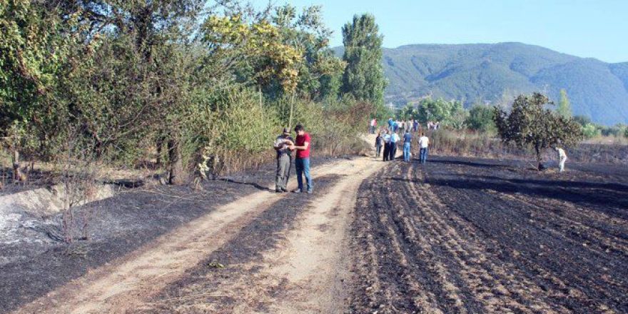 Pazaryeri’nde Yangın
