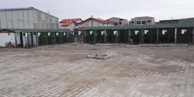 Gemlik Belediyesi’ne Anlamlı Ödül