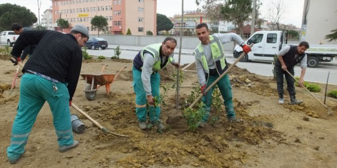 Burhaniye Renkleniyor