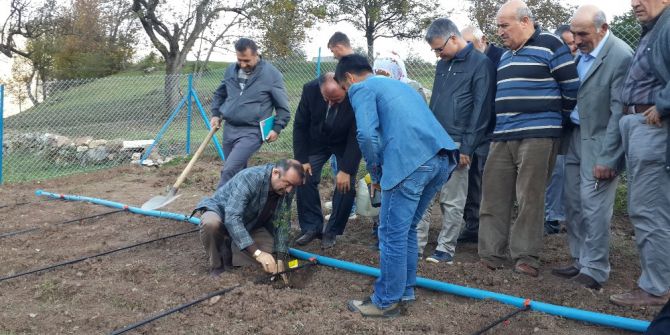 Akakp Artvin’e Can Verecek