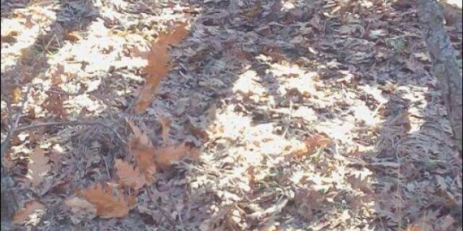 İzinsiz Av Esnasında Hayatını Kaybetti