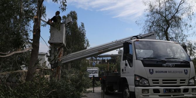 Bodrum’da Bahar Bakımı