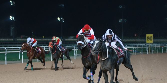 Özgecan Aslan Koşusu’nu ‘Mister Strong’ Kazandı