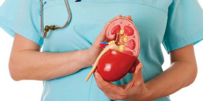 Kronik Böbrek Hastalığından Korunmak İçin Sekiz Altın Kural