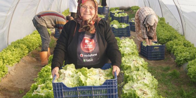 Vodafone’un Kadın Çiftçileri İlk Hasattan 30 Bin Marul Sattı